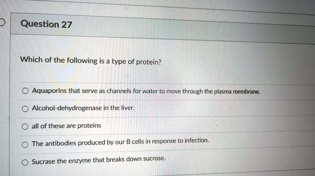 SOLVED Which Of The Following Is A Type Of Protein Aquaporins That