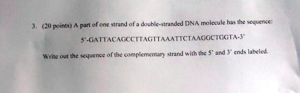 Solved Points A Part Of One Strand Of A Double Stranded Dna