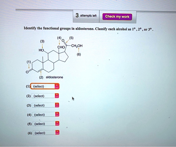 Solved Attempts Left Check My Work Identify The Functional Groups In