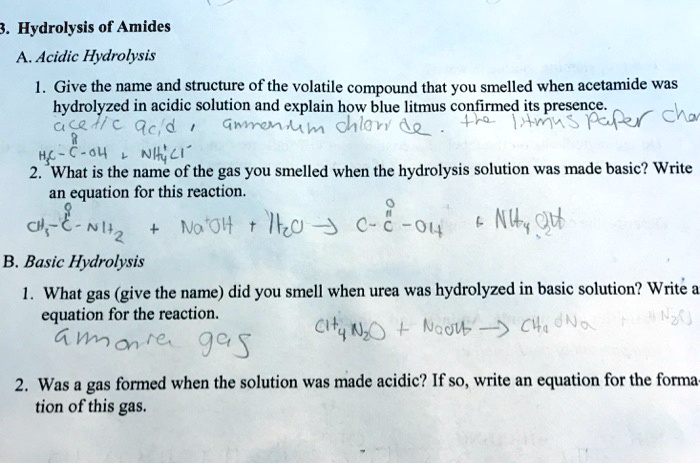 SOLVED 3 Hydrolysis Of Amides A Acidic Hydrolysis Give The Name And