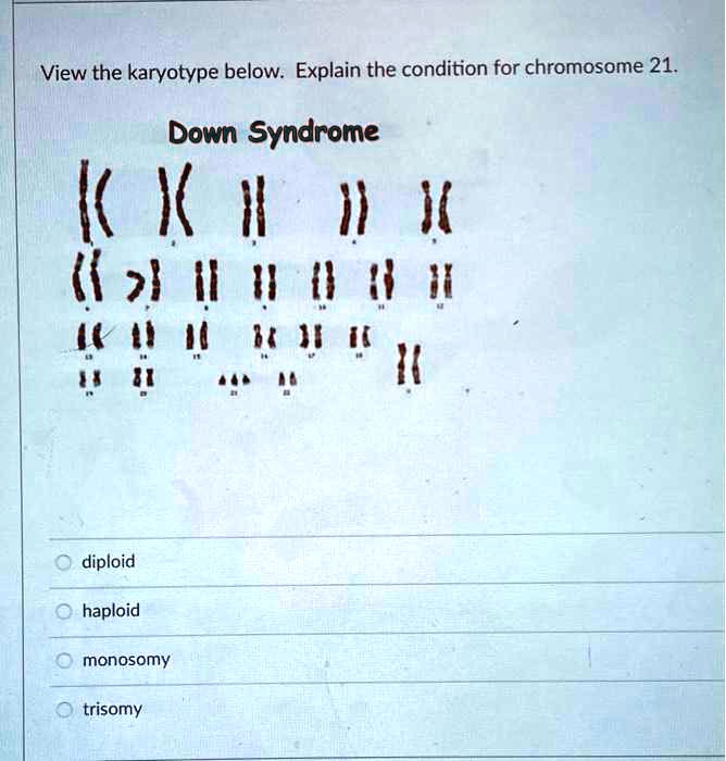 Solved View The Karyotype Below Explain The Condition For Chromosome