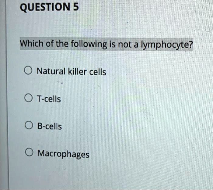 Solved Question Which Of The Following Is Not A Lymphocyte Natural