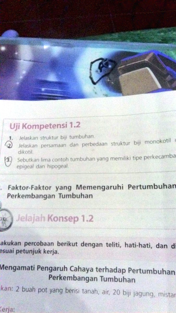 SOLVED Perbedaan Struktur Biji M Onokotil Dan Dikotil Uji Kompetensi 1