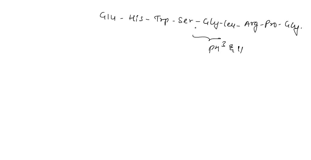 Solved A Peptide Has The Sequence Glu His Trp Ser Gly Leu Arg Pro Gly