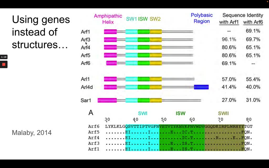 SOLVED 6 Living Vertebrates Share A Set Of Derived Characters That