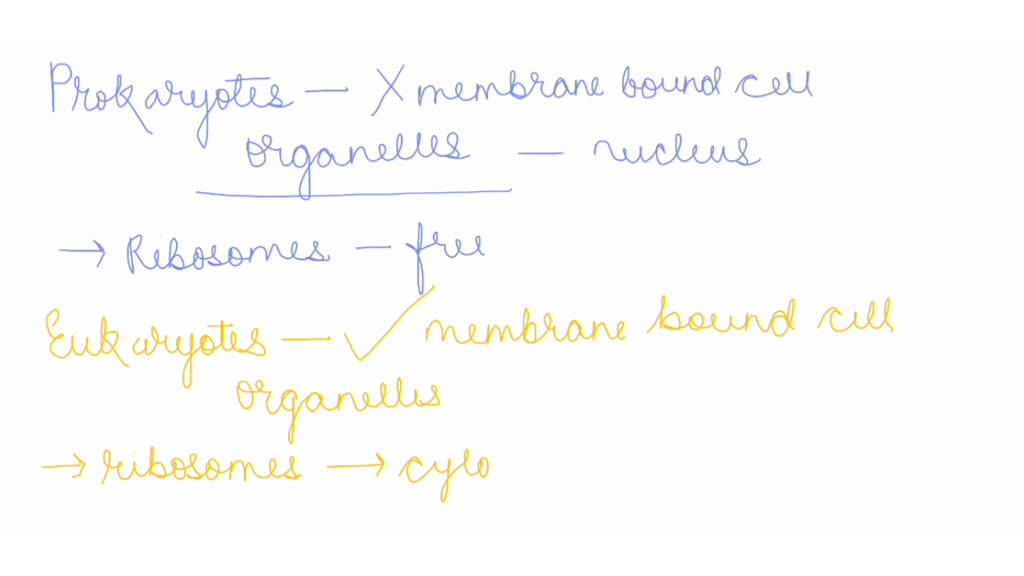 Solved Transcription And Translation Differ In Prokaryotes Versus