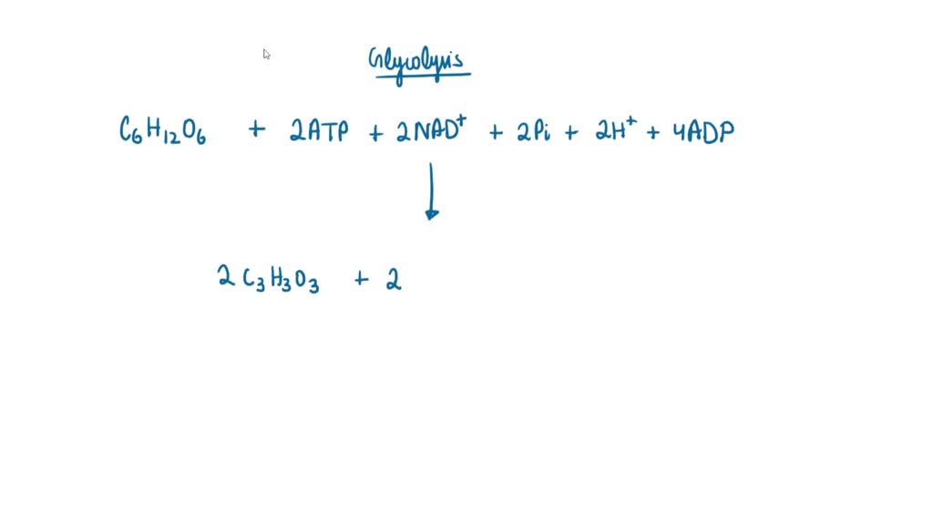 Solved Problem Part E Complete The Balanced Equation For This