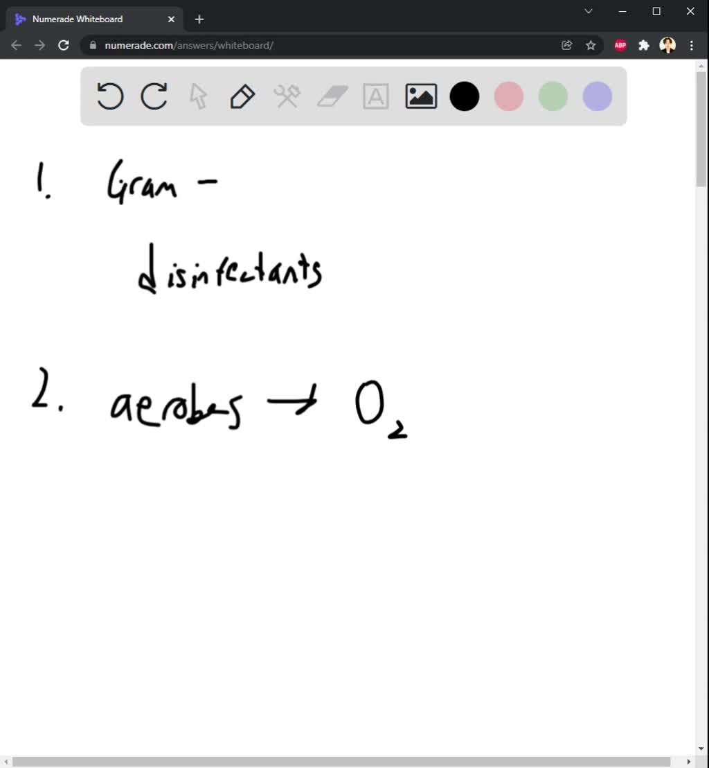 SOLVED And Negative Bacteria Why Gram What Are The Differences