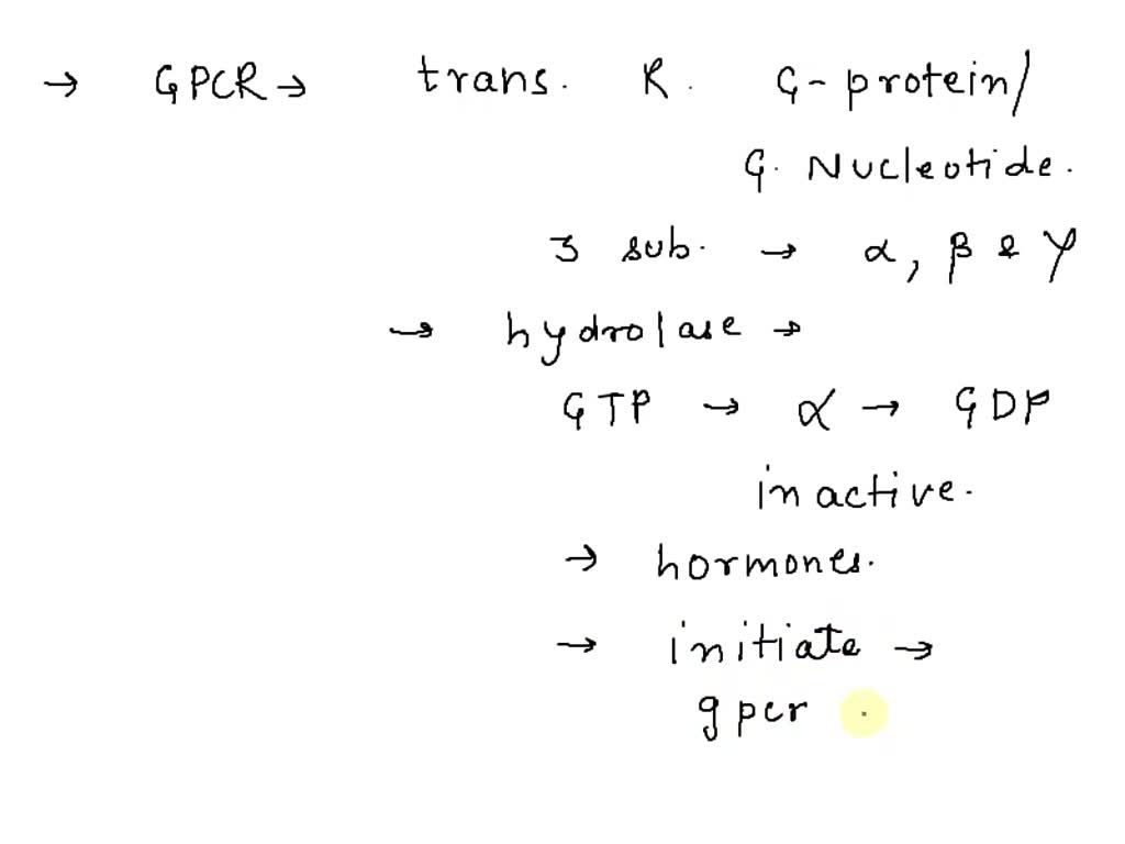 SOLVED Explain The Generation Of Inositol Triphosphate IP3 By