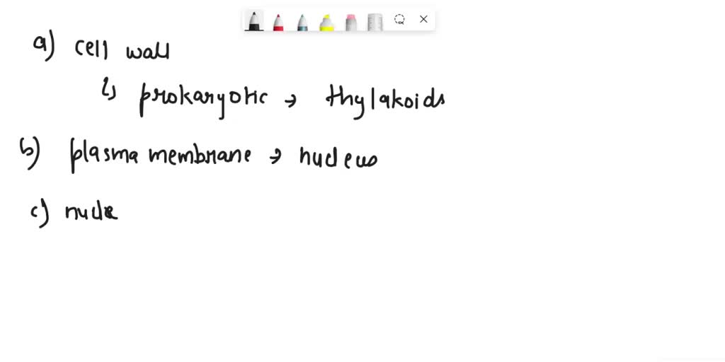 SOLVED Which Structures Are Found In A Prokaryotic Cell A Cell Wall