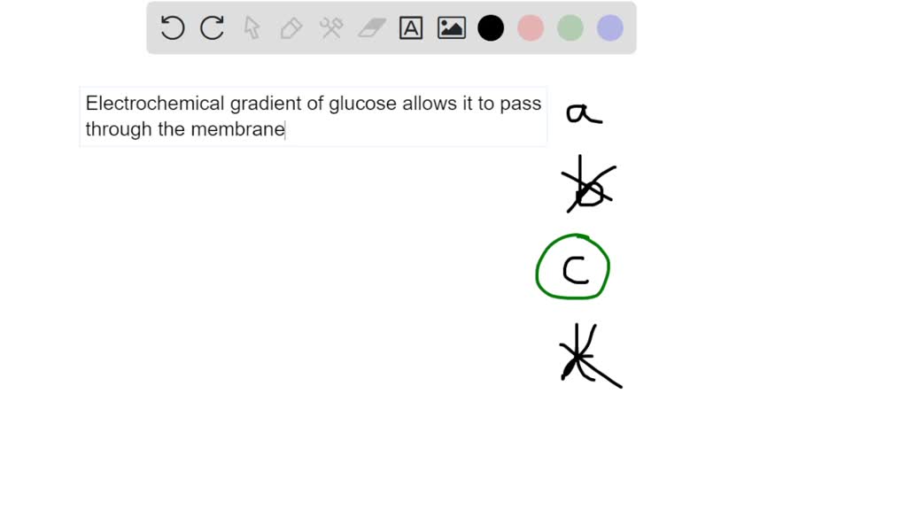 SOLVED Glucose Enters Red Blood Cell Through Facilitated Diffusion