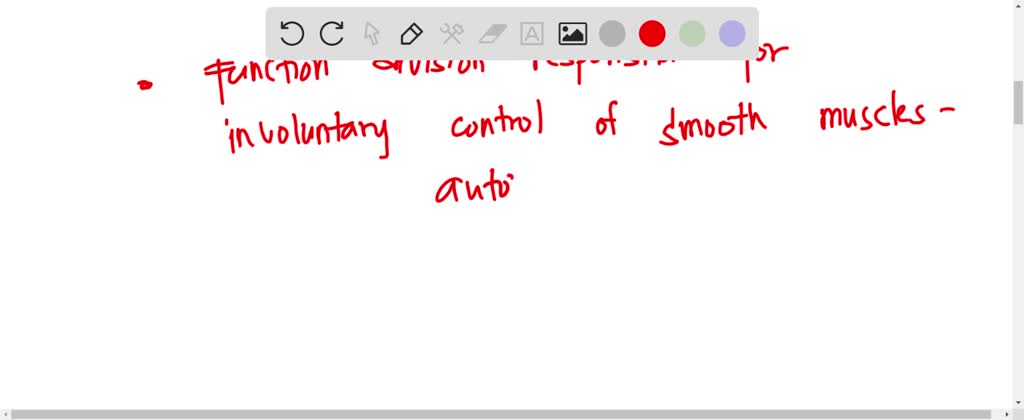 Solved Match Each Description With The Appropriate Division Of The