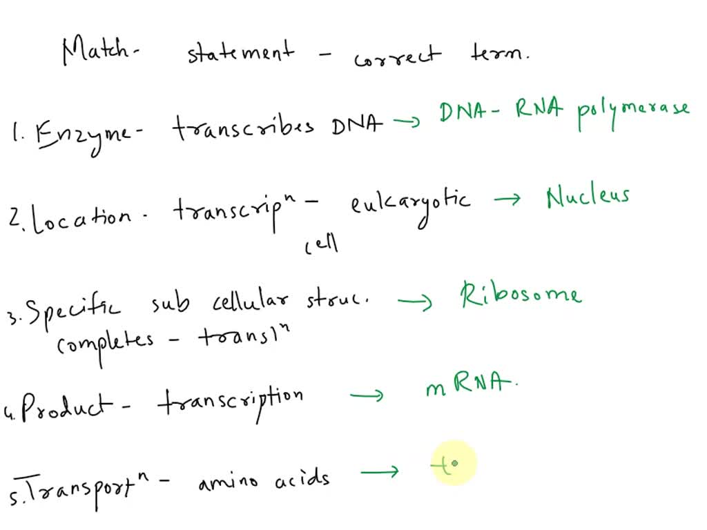 Solved Match The Statement With The Correct Term From The List Any Is