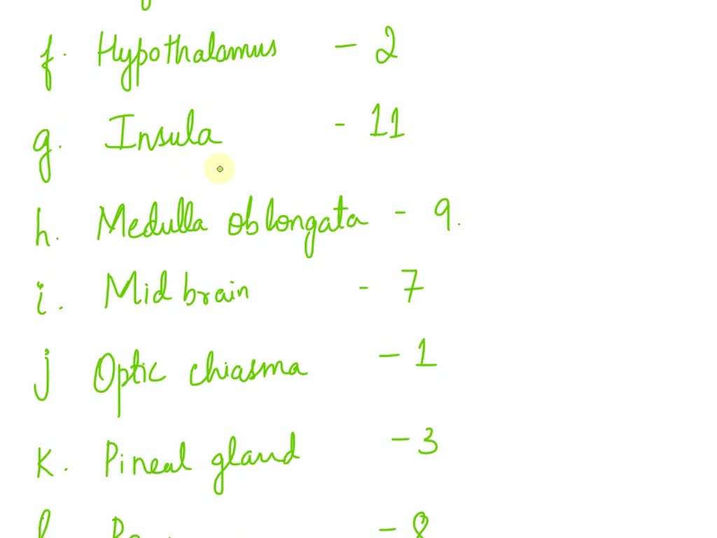 Solved Name Date Section Reviewing Your Knowledge Exercise A Cranial