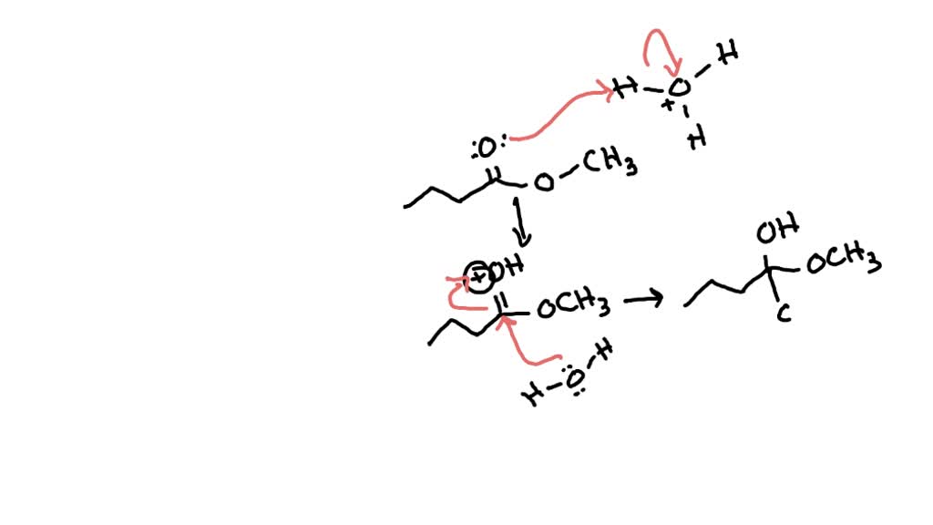 Solved Draw The Carboxylic Acid Product Of The Acid Hydrolysis Of