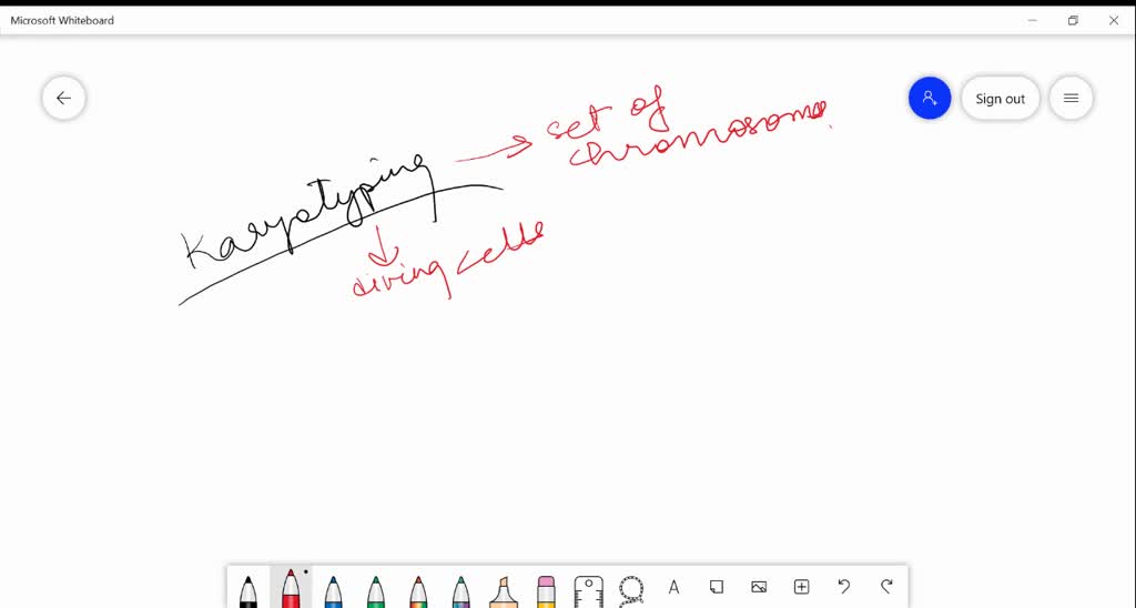 Solved If You Were Going To Have A Karyotype Done To Reveal Your Own