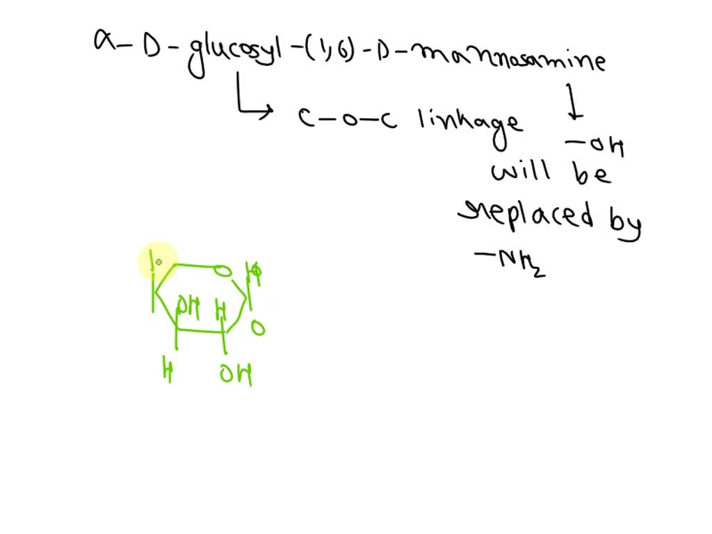 Solved Modify The Structures Of D Glucose And D Mannose To Show D