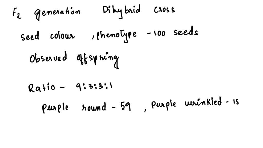 SOLVED Observed Fz Generation Count The Seed Color And Texture