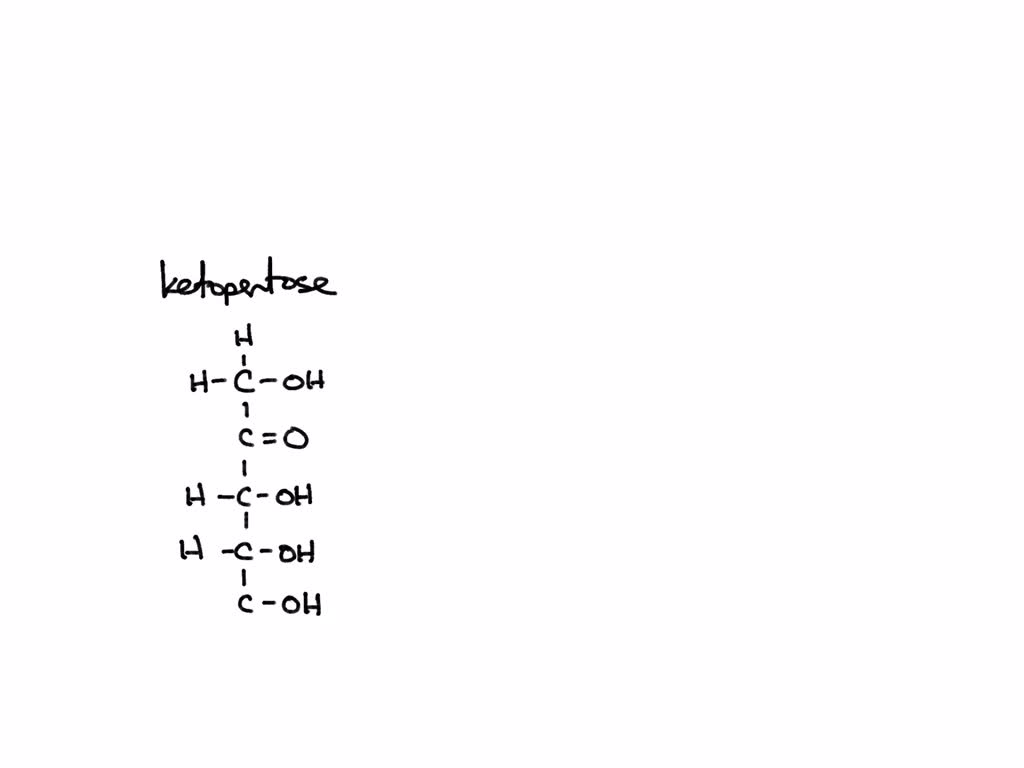 SOLVED Understand The Baslc Structure Of Dlfferent Carbohydrates And