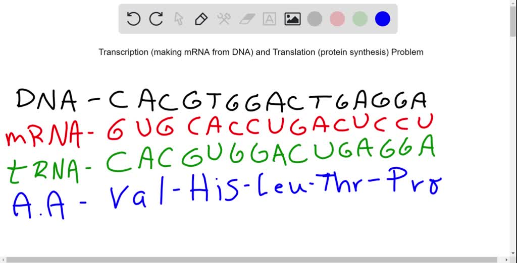 SOLVED For The Following DNA Template Fill In The Following Lines