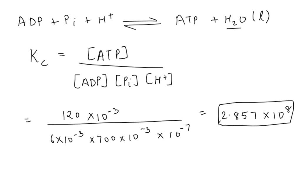 SOLVED 9 The Steady State Concentrations Of ATP ADP And Pi In