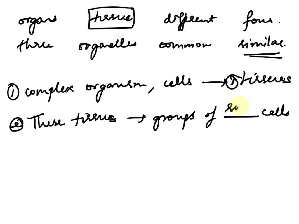 Solved Complete The Following Sentences Describing General Information