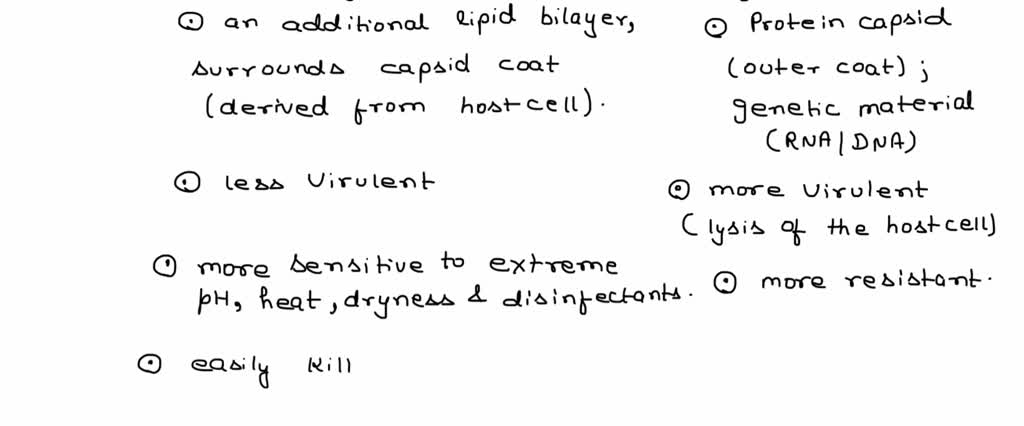 SOLVED Compare And Contrast The Structure Life Cycle And Host Cell