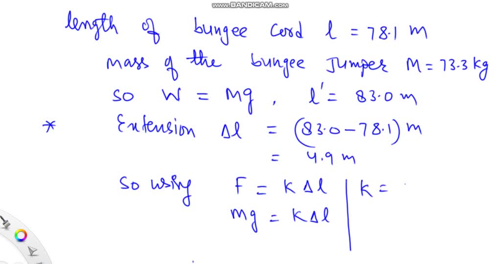 Solved Jumper Steps Off A Bridge And Falls A Distance Of M Before