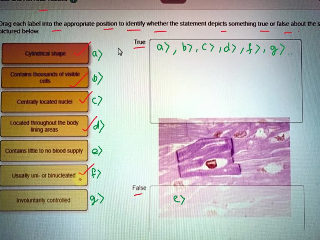 SOLVED Issues Drag Each Label Into The Appropriate Position To