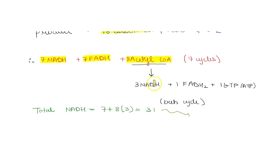 Solved The Number Of Atp Molecules That Can Be Made From The Oxidation