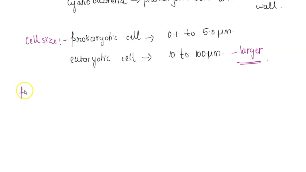 SOLVED Which Of The Following Statements Best Describes One Major