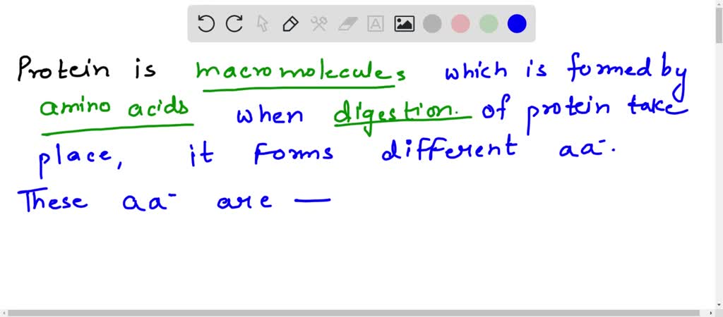 SOLVED Protein Is A Macromolecule Which Is Formed By Synthesis