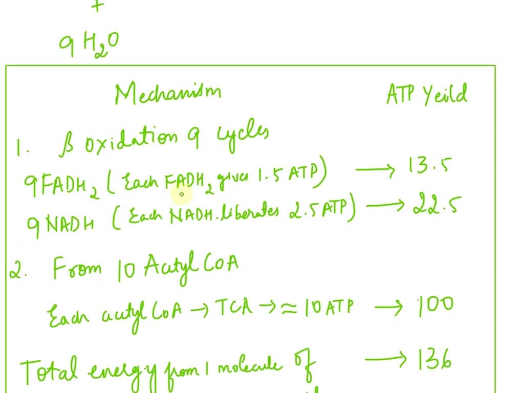 SOLVED Answer The Following Questions About The Given Triacylglycerol