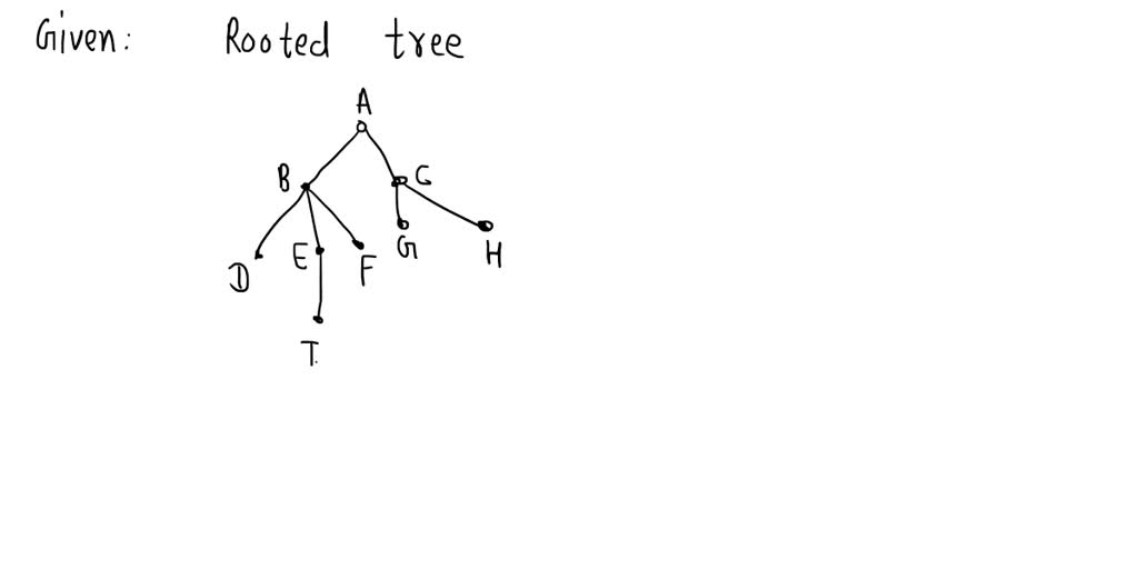 Solved Points Answer The Following Questions About The Rooted