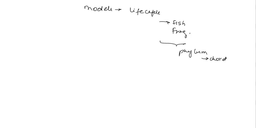 SOLVED The Models Show The Life Cycles Of A Fish And A Frog Explain