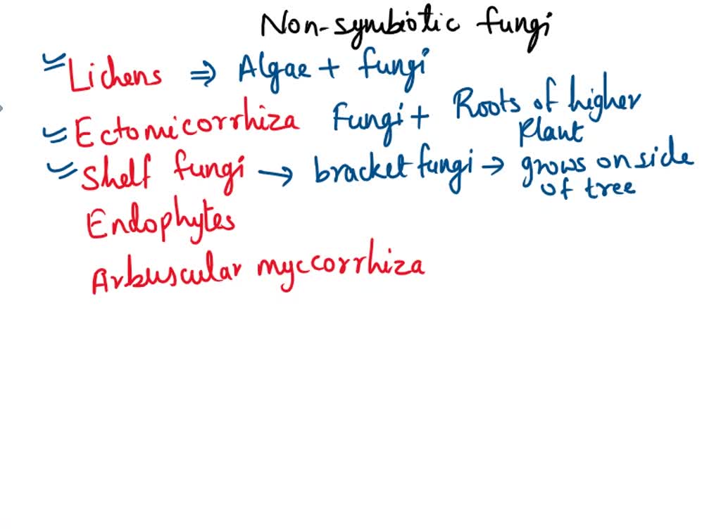 SOLVED Which Of The Following Is Not An Example Of Fungi That Commonly