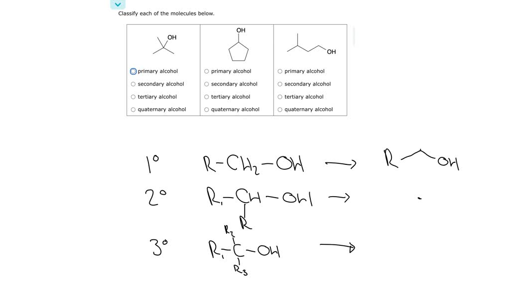 Solved Organic Functional Groups Identifying Primary Secondary And