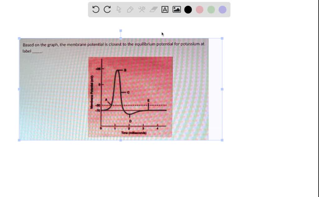 SOLVED Based On The Graph The Membrane Potential Is Closest To The