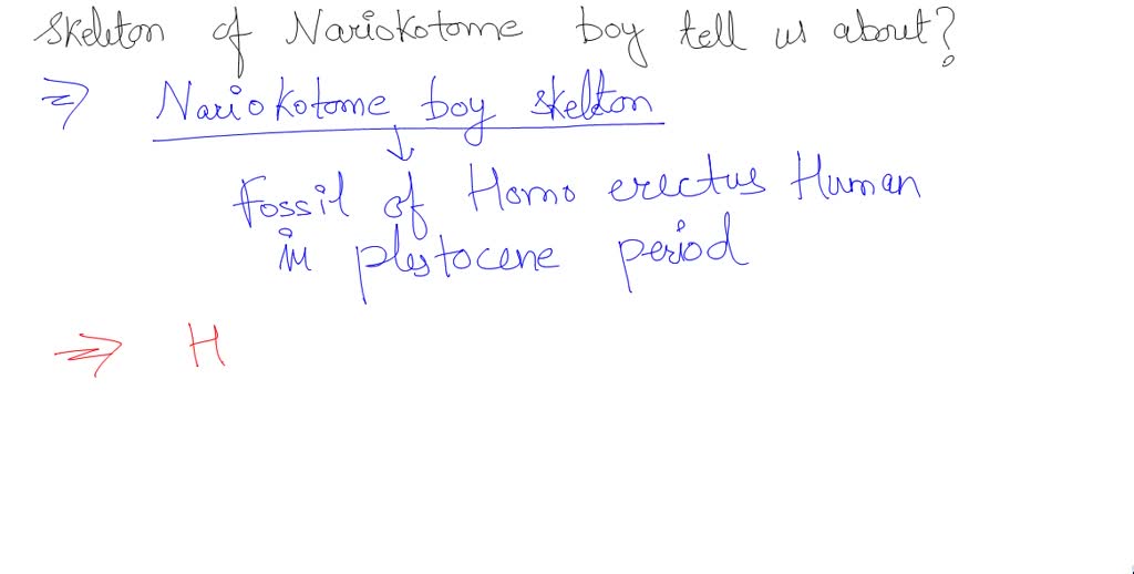 Solved Question Pts What Does The Skeleton Of Nariokotome Boy