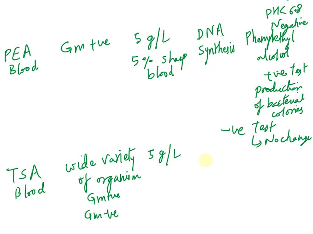 SOLVED Selective And Differential Media Pre Lab Name Selects For