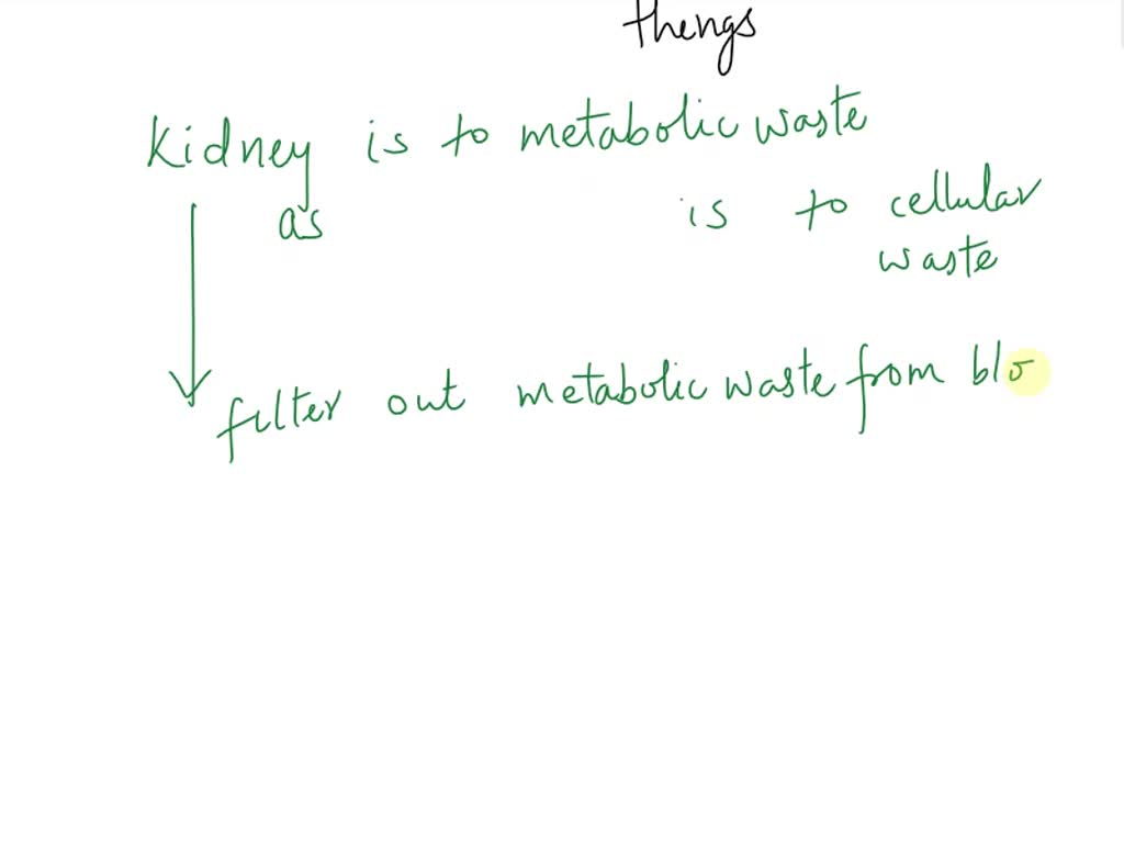 Solved Analogies Mark The Letter Of The Pair Of Terms That Best