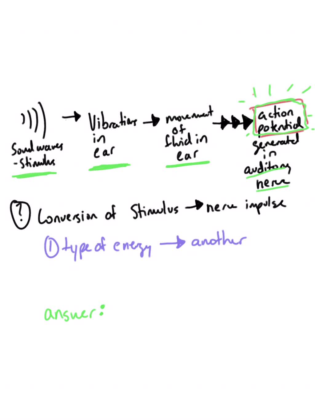 Solved The Conversion Of An Environmental Stimulus Into A Nerve