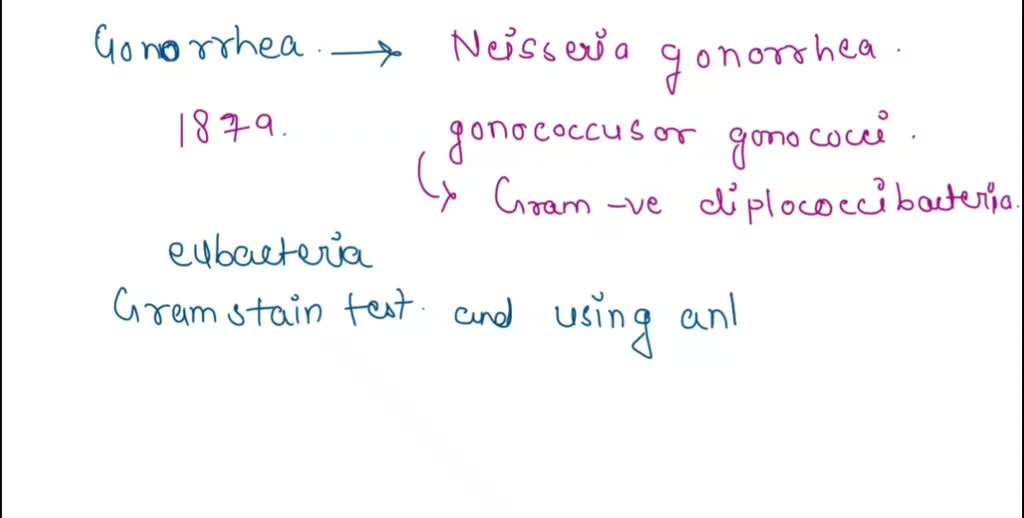 SOLVED You Have A Patient Suffering From Gonorrhea A Sexually