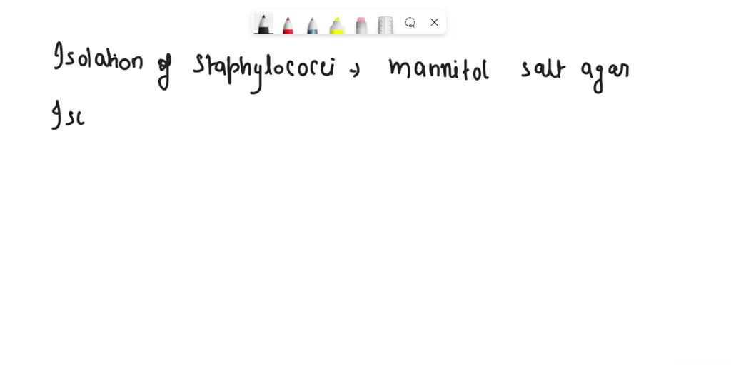 Solved Match The Media With The Microbe Isolation Of Staphylococci