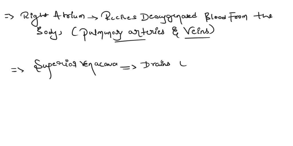 Solved The Azygos Vein Drains Blood From The Thorax Into The Superior