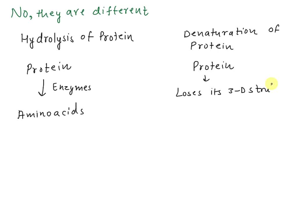 SOLVED Is Hydrolysis Of A Protein Considered To Be Denaturation Why