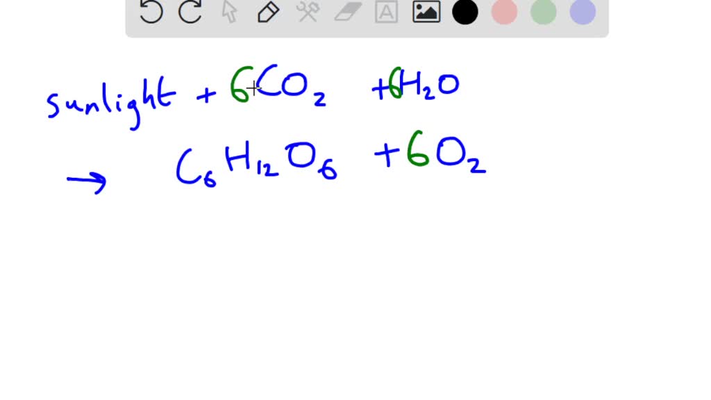 Solved How Many Molecules Of Oxygen Are Produced For Every Molecule Of