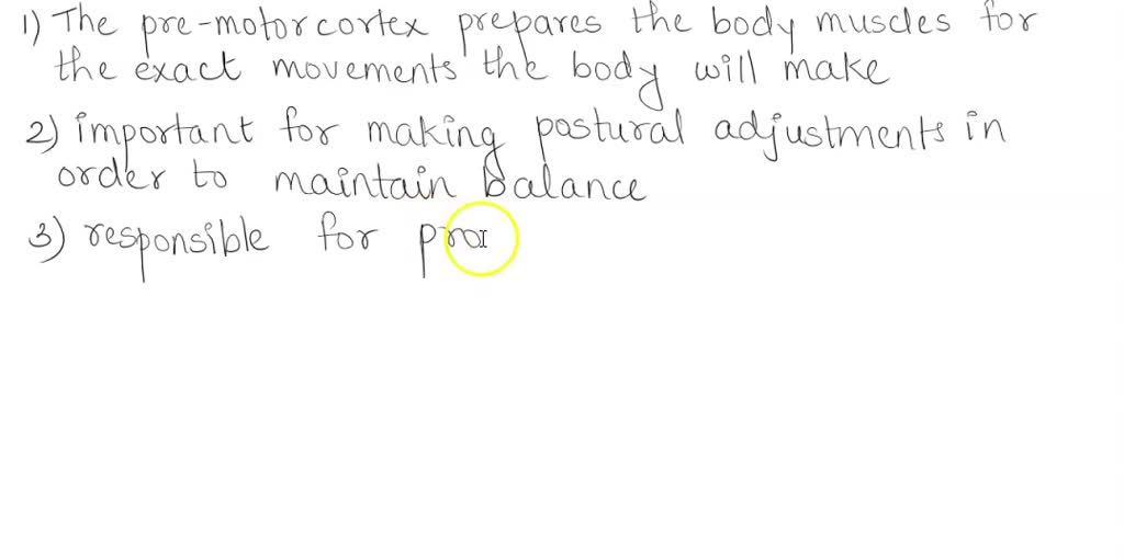 Solved Question Pts Voluntary Movement Which Brain Structure