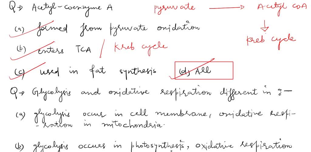 SOLVED Review Cellular Respiration Process Prokaryote Aerobic