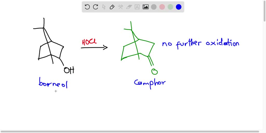 SOLVED For The Oxidation Of Borneol To Camphor There Is An Excess Of